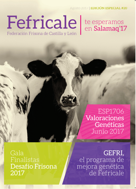 Portada FEFRICALE N° 20