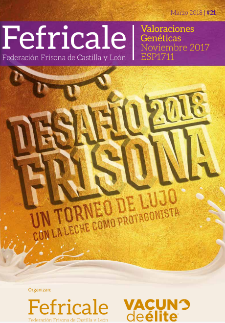 Portada FEFRICALE N° 21