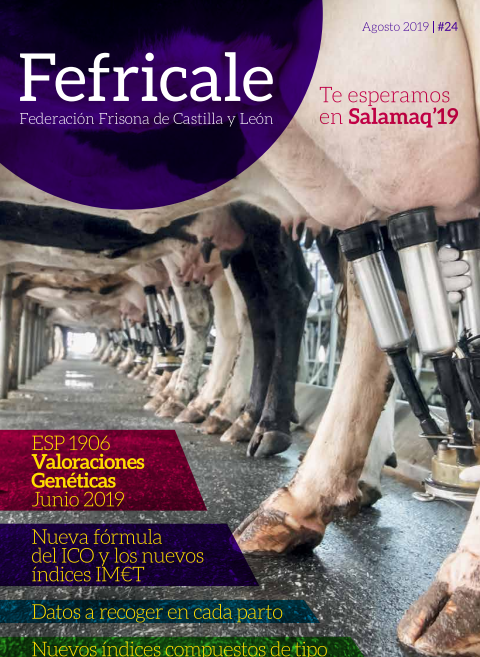 Portada FEFRICALE N° 24