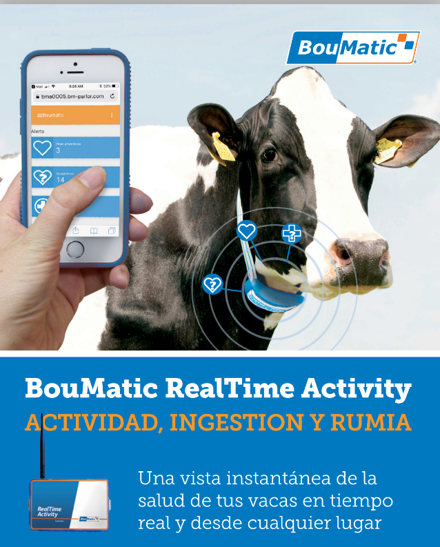 Publicidad 2