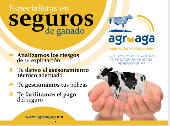 Publicidad 7