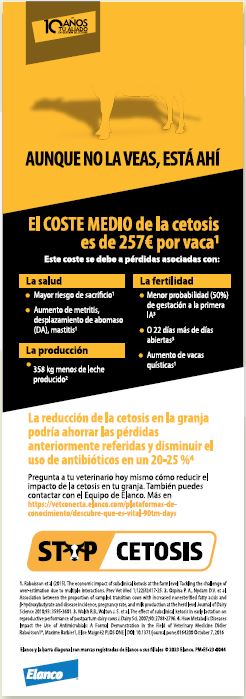 Publicidad 5