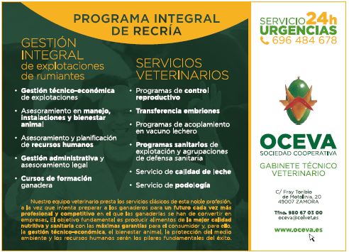Publicidad 6