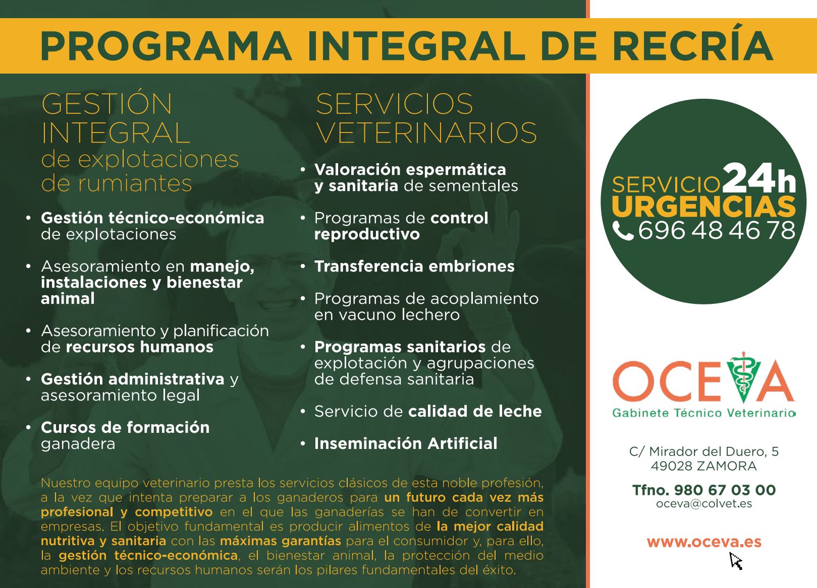 Publicidad 3