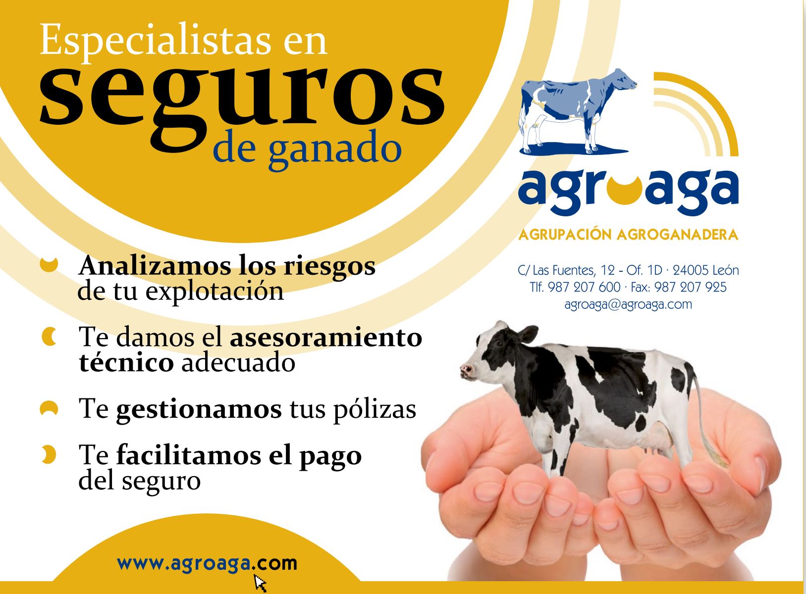 Publicidad 4