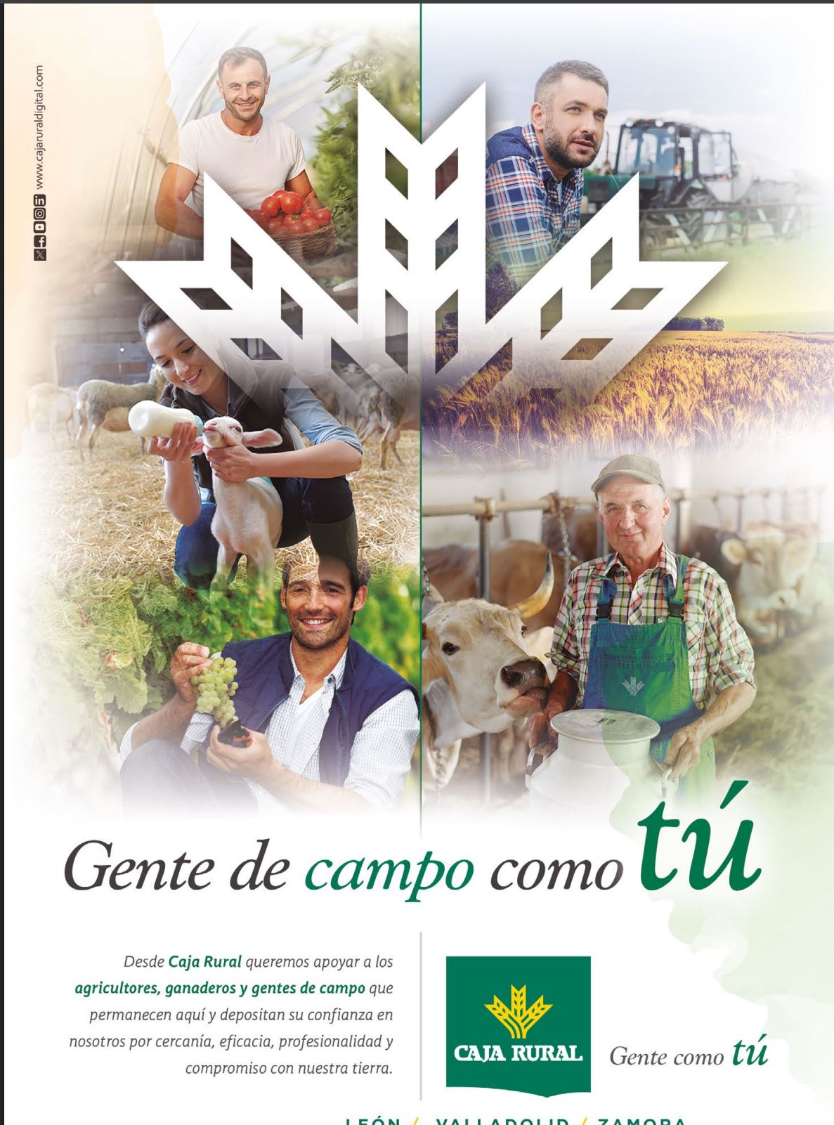 Publicidad 6