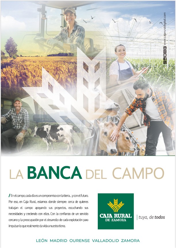 Publicidad 4