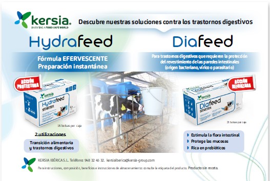 Publicidad 2