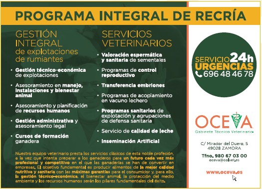 Publicidad 3